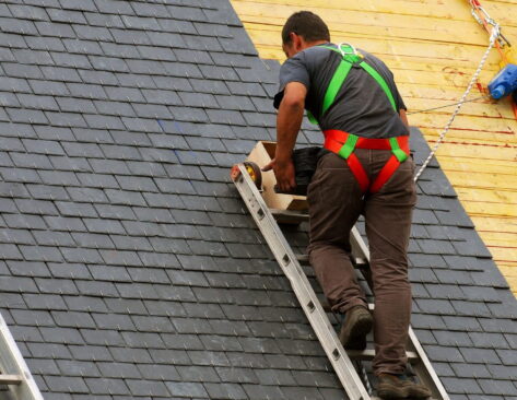 7 signals that your roof needs maintenance