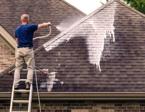 Slate Roof Soft Cleaning